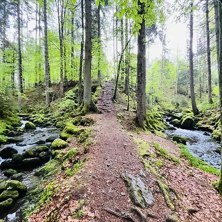 Am Hirschenberg *